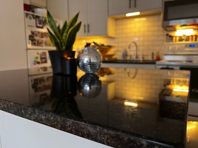 Black granite countertops