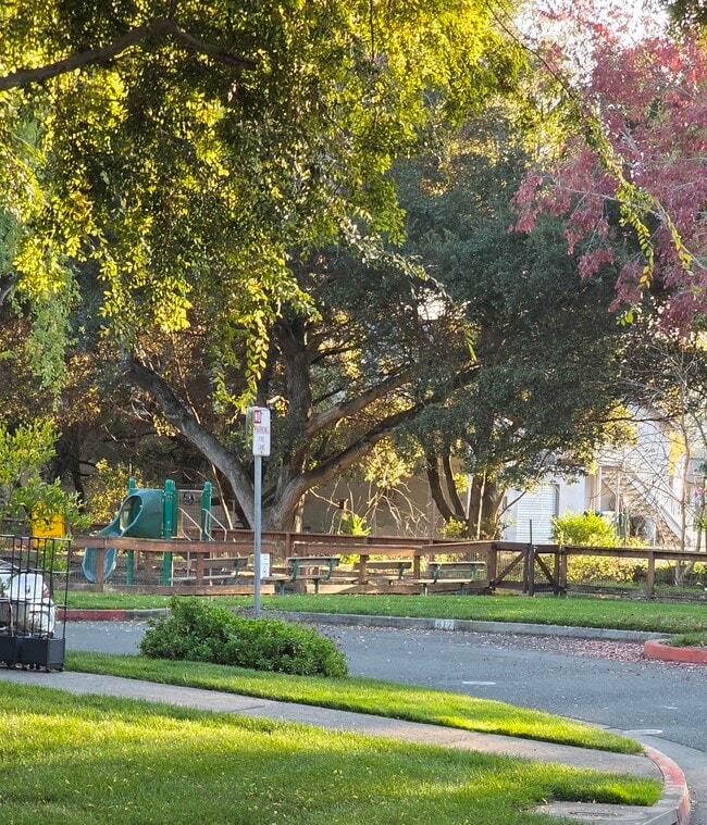 Photo - 426 Matteri Cir