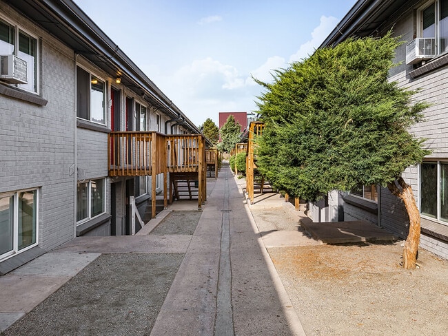 Somos Pet Friendly y Paw-Aprobado - Pinecrest