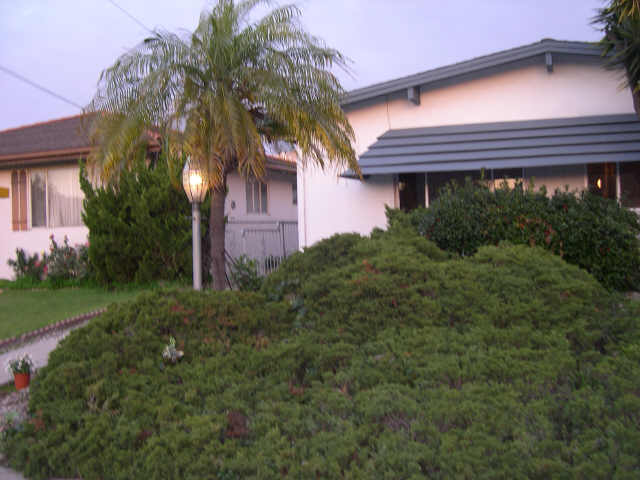 Photo - 4841 69th Pl