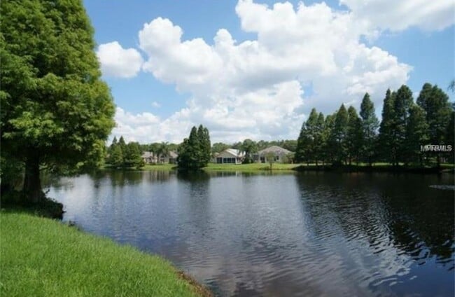 Photo - 11816 Easthampton Dr