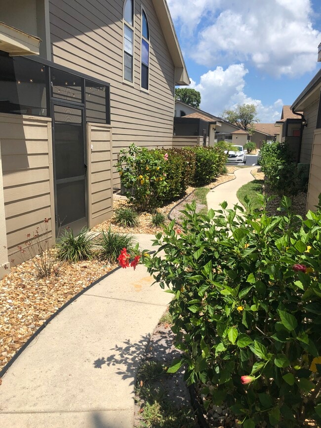 Path to Townhouse