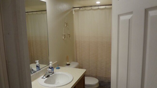 Perfect One Bedroom next to Provo Rec Cent... - Perfect One Bedroom next to Provo Rec Cent... Apartment Unit 672 207