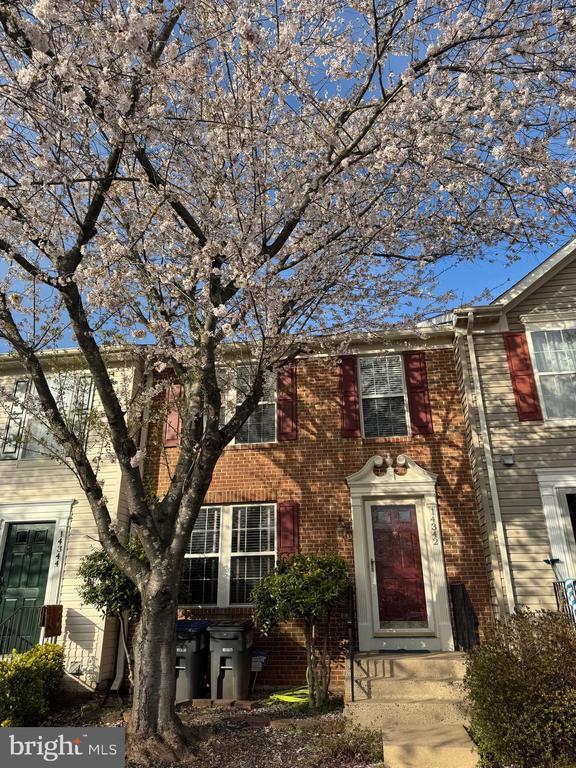 Photo - 14342 Papilion Way