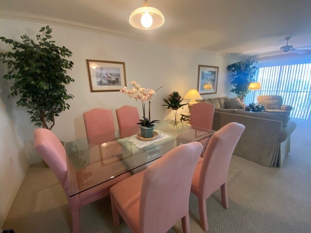 Photo - 519 Roma Ct Unit 519 Roma Ct