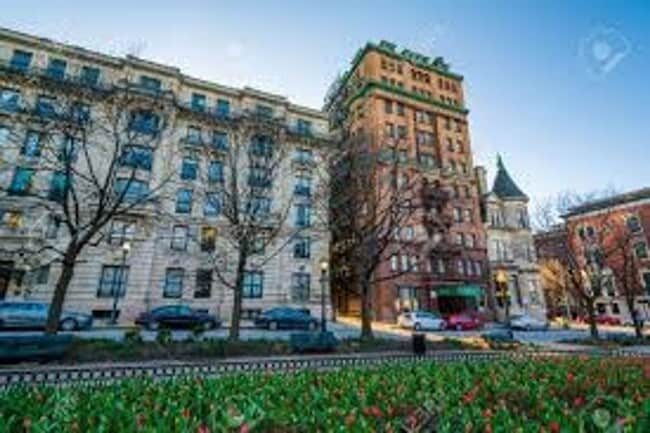 Photo - Stafford Apartments