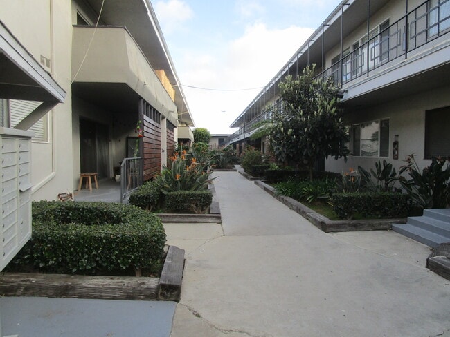 Photo - Venice Dreams