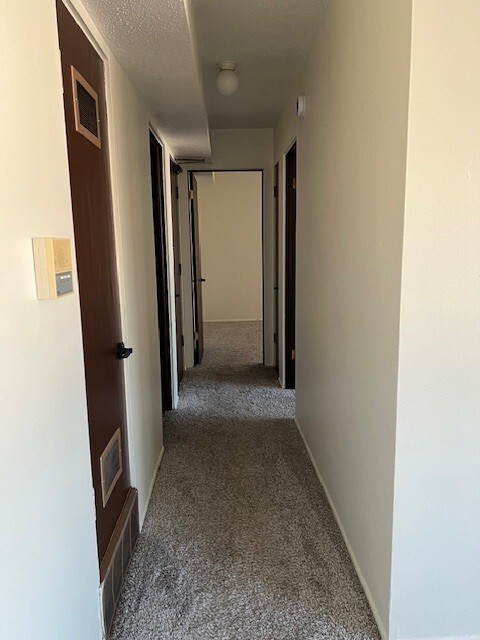 Hallway to bedrooms & 2nd entry
