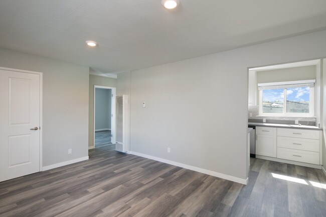 Large 1 Bedroom