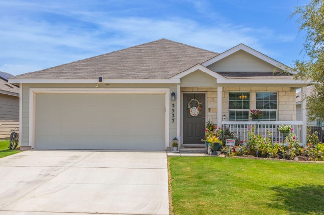 Photo - 2527 Pechora Pipit