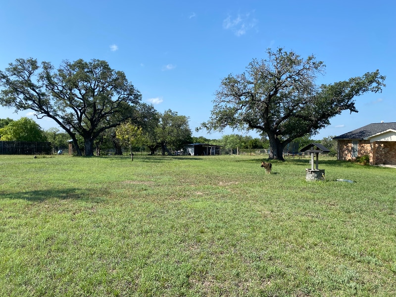 Photo - 953 Co Rd 3351