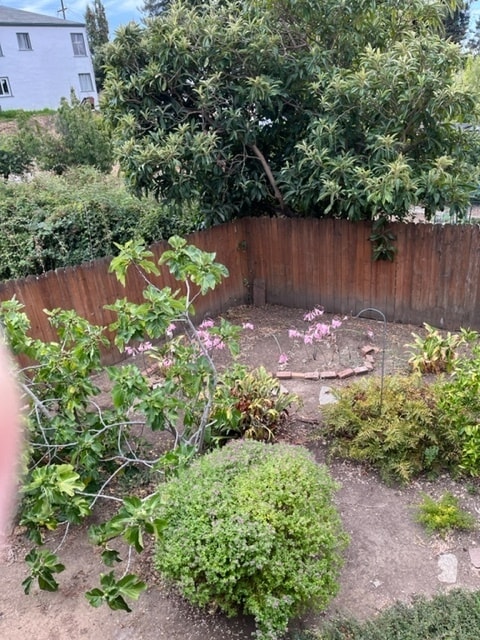 Photo - 3611 Harbor View Ave