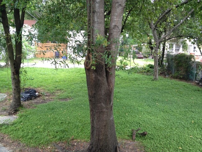 Photo - Large 3/2 Close to Downtown