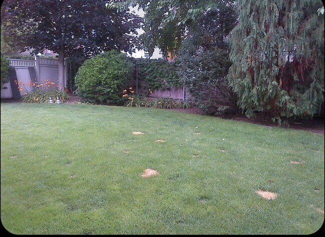 Photo - 24 E George St Unidad 2