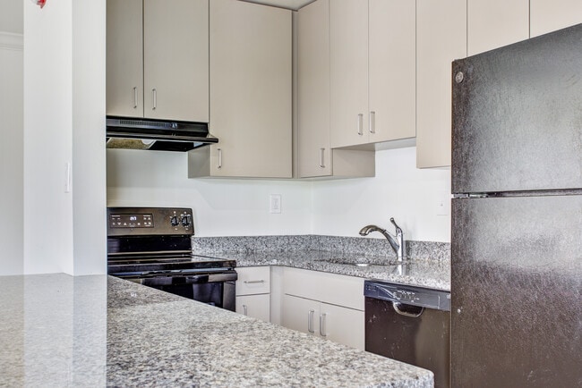 Photo - The Amsterdammer