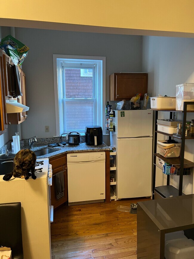 1219 Commonwealth Ave Unit 4