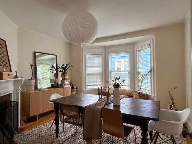 Photo - 52 Hillsdale Rd