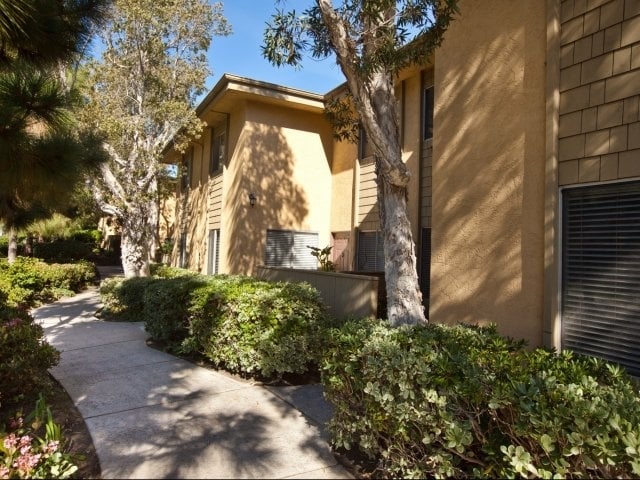 Elan Solana Pointe