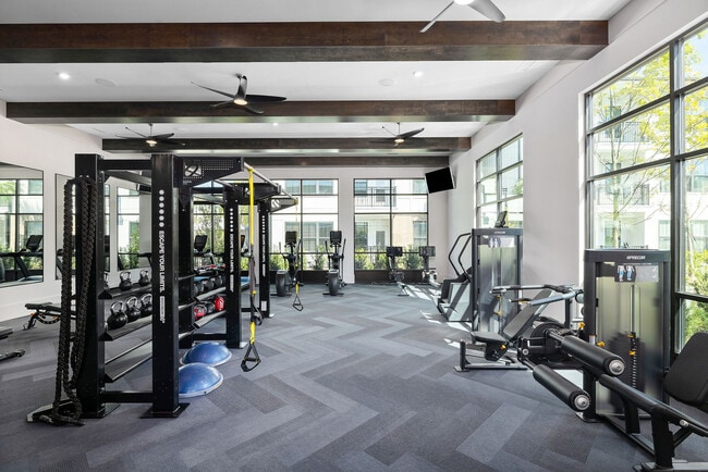 Camellia at One Nexton apartments — community photo