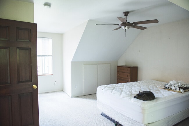 Photo - Great Home in West Fort Collins