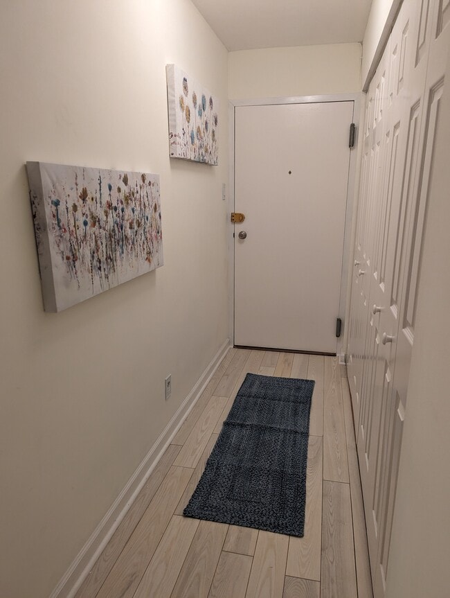 Entryway/Hallway and closets - 575 Thayer Ave Unit 106