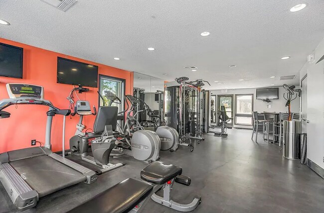 Photo - Falcon Point