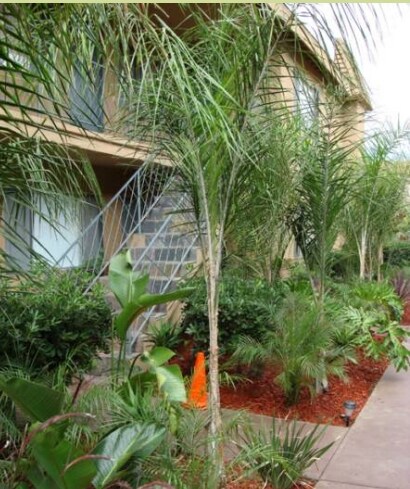 Photo - Bay Palms Apartment