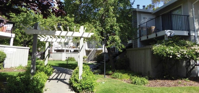 Photo - Jasmine by Elevate