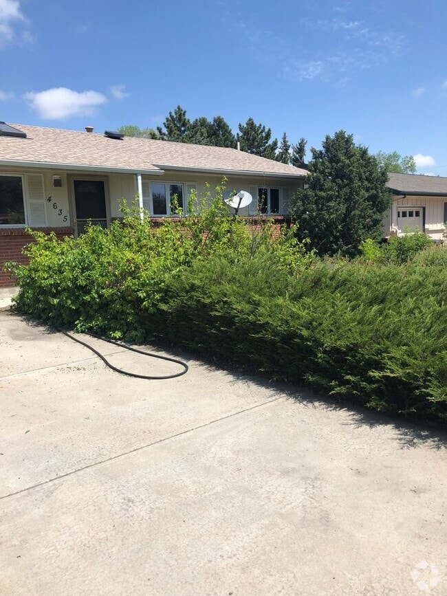 Building Photo - Last minute screaming deal for CU students... Rental