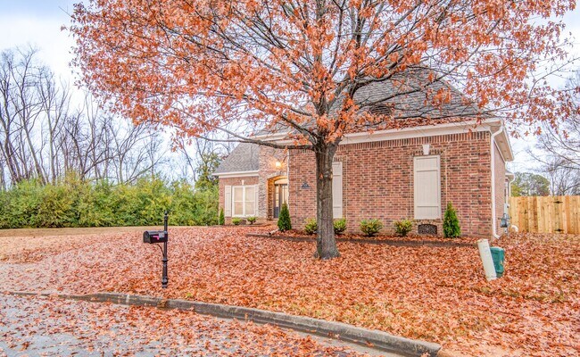 Photo - Gorgeous Home for Rent in Collierville Sch...