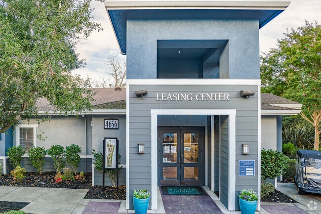 Photo - Acacia at Santa Rosa Creek