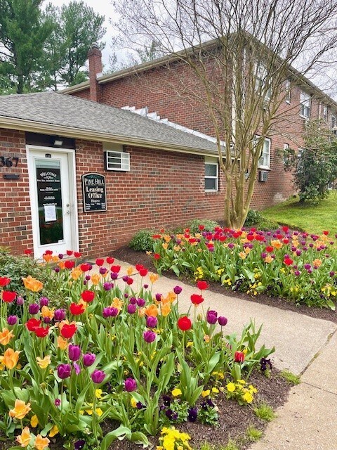 Pine Hill Apartments
