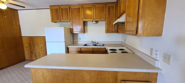 Photo - One Bedroom One Bath Apartment Unit P