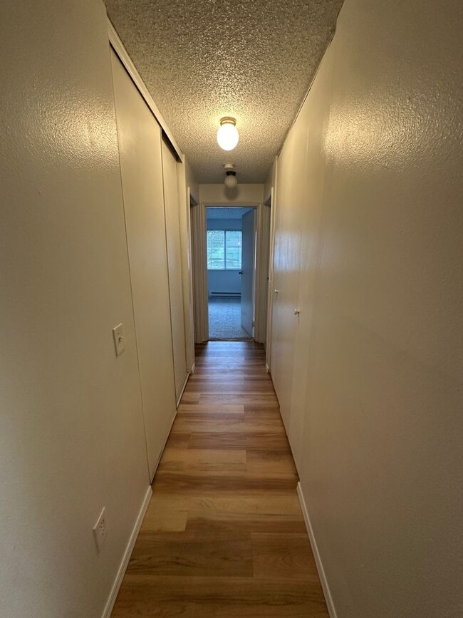 Photo - Lovely Bellevue Condo! Unit 3