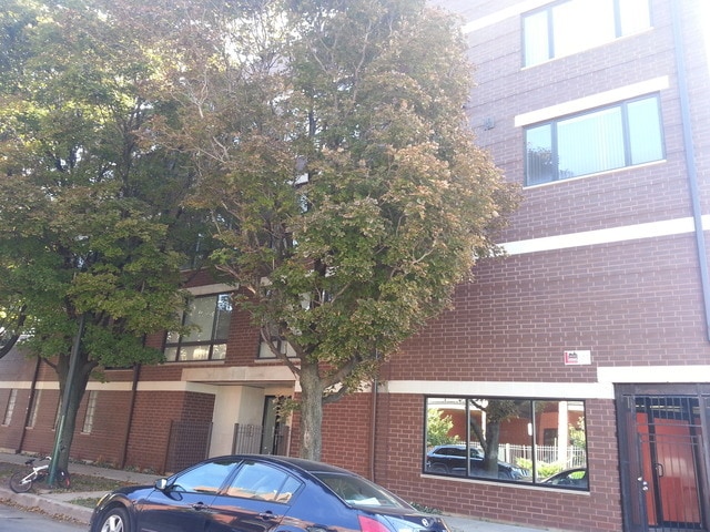 Building Photo - 2357 W School St Rental
