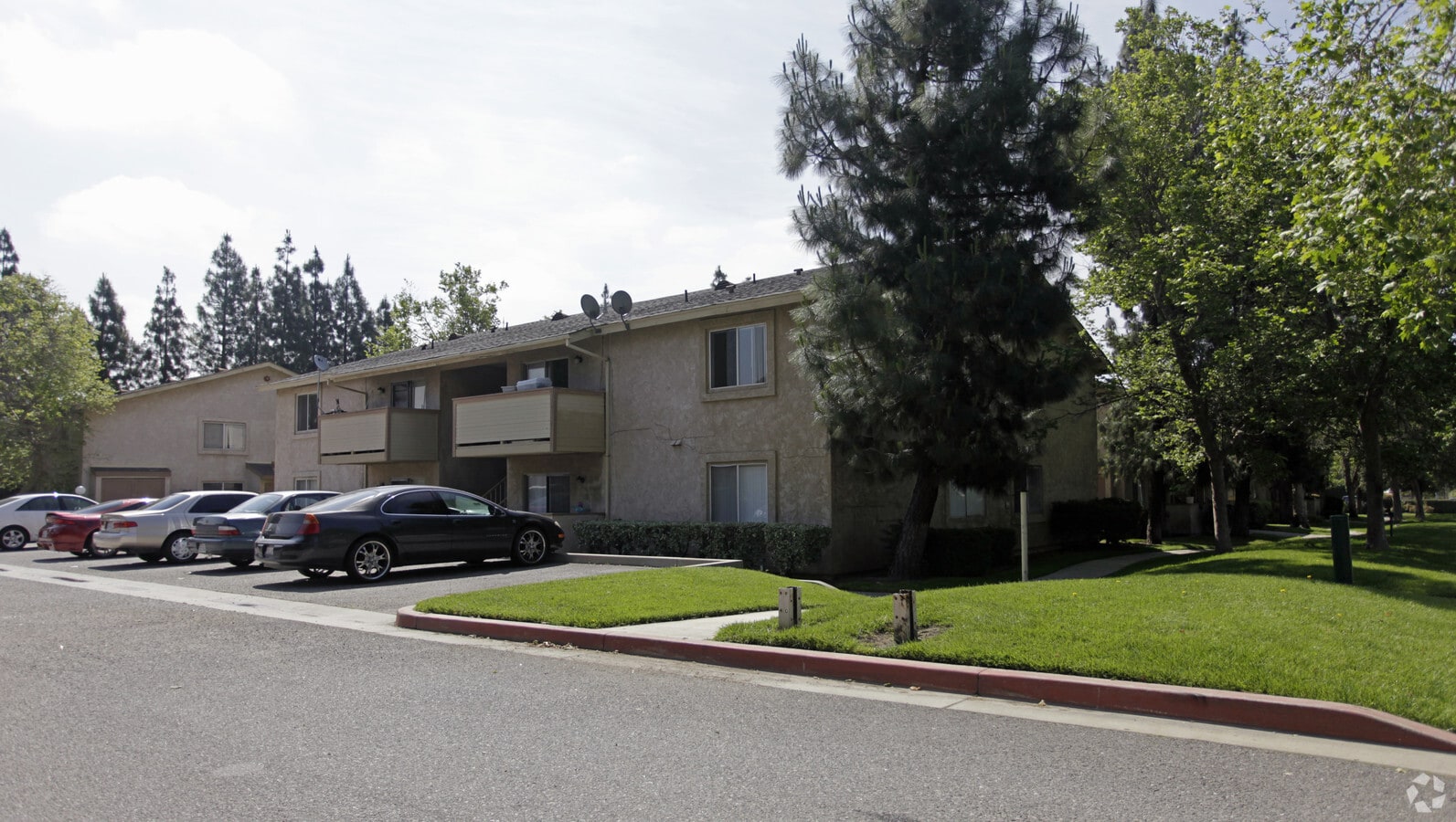 Mango Tree Apartments - Mango Tree Apartments
