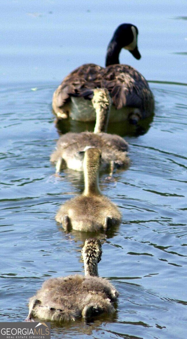 Photo - 363 Kenilworth Cir