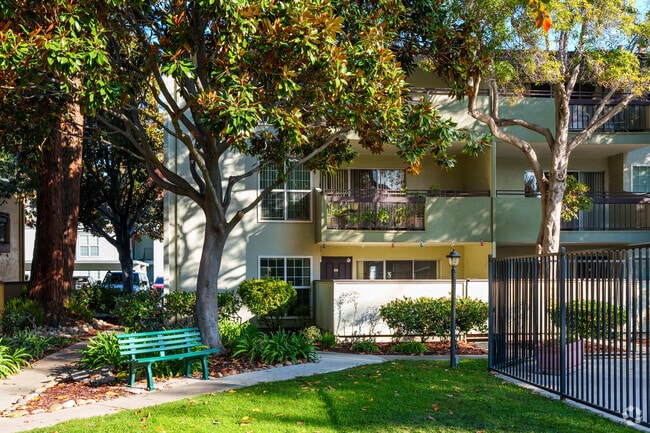 Courtyard - Redwood Plaza Apartments