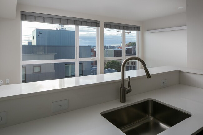 Photo - VIVID Queen Anne