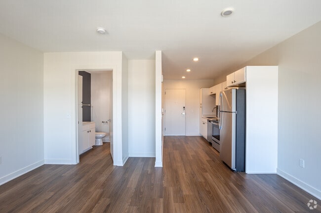 Estudio - Director - Swivel