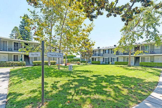Park Magnolia Apartment Homes