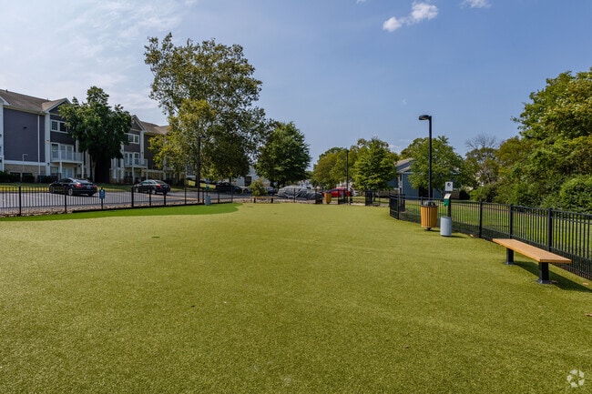 Dog Park