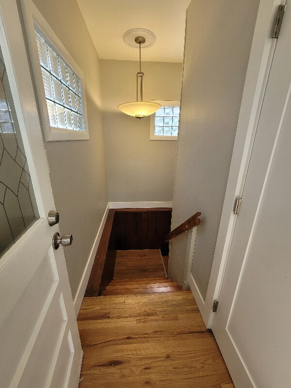 1240 Elmira St Unidad Downstairs South Room