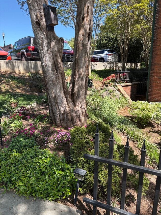 Photo - Lovely 2 Bedroom 2 full Bath Historical  Condo in Downtown Easley! Lawn Care and Trash Pickup inc... Unit 101