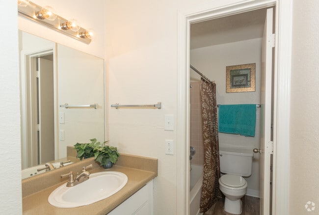 2BR 2BA- Bathroom