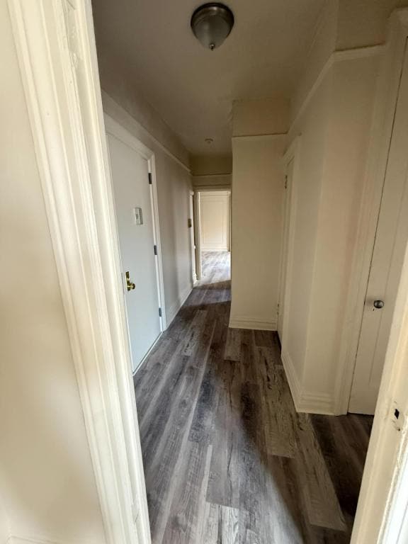 Photo - 36 Bruce Ave