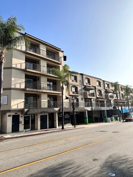 Palm Ave.