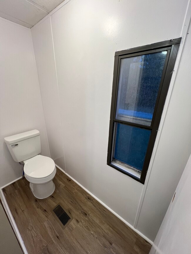 Photo - Magnolia #07