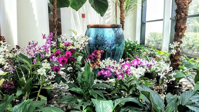 Photo - Nauru Tower Kakaako Furnished 2 Bedroom 2 ...