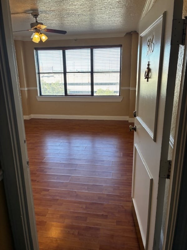 Photo - 311 W Ashley St